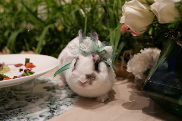 13.หนูสวยไหมคะ