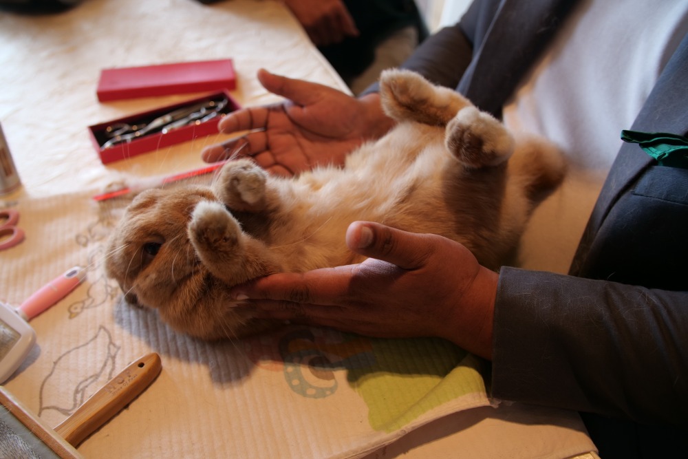 16.ฟินเลย สบายสุดๆ