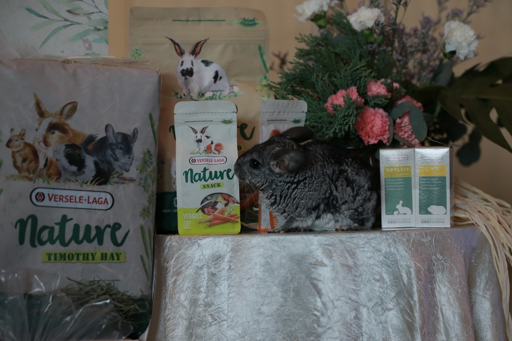 17.สุขภาพที่ดีเริ่มจากอาหารที่ดี