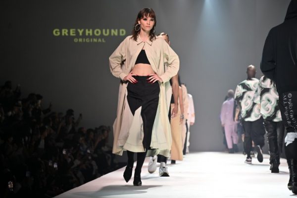 GREYHOUND ORIGINAL (15)