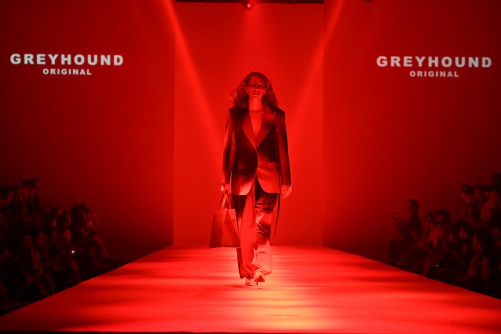 GREYHOUND ORIGINAL (22)