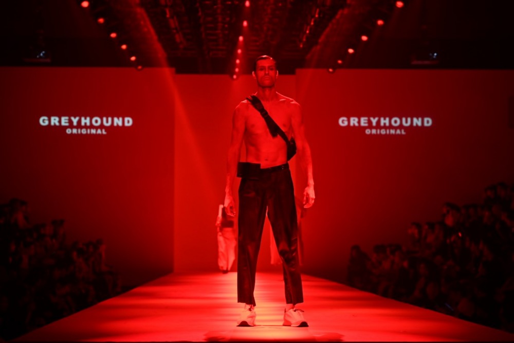 GREYHOUND ORIGINAL (3)