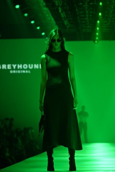 GREYHOUND ORIGINAL (38)