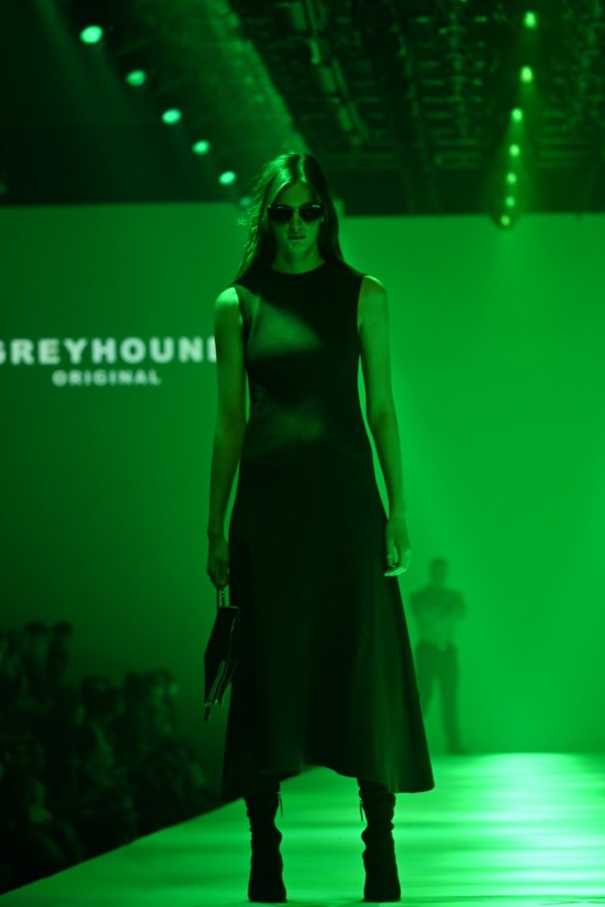 GREYHOUND ORIGINAL (38)