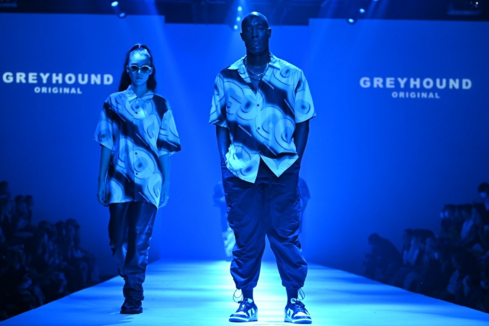 GREYHOUND ORIGINAL (53)