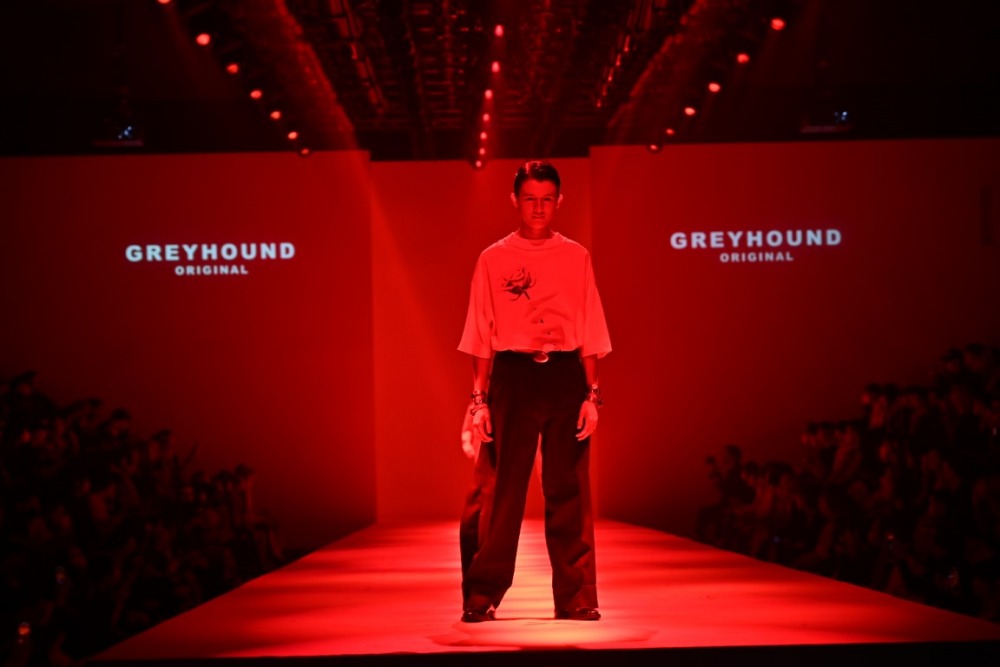 GREYHOUND ORIGINAL (6)