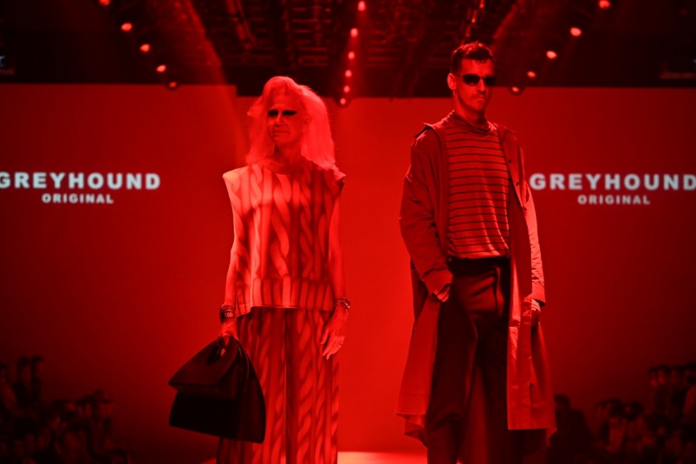GREYHOUND ORIGINAL (65)