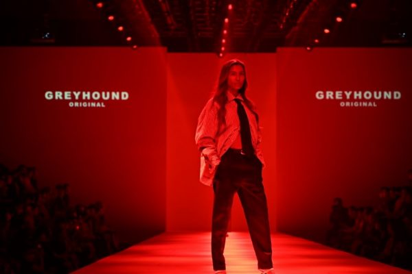 GREYHOUND ORIGINAL (8)
